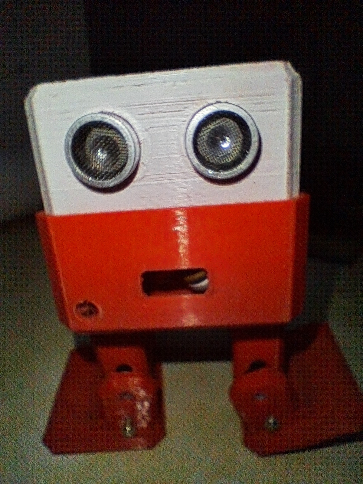 Otto Bot